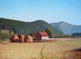 Farma na Savincu